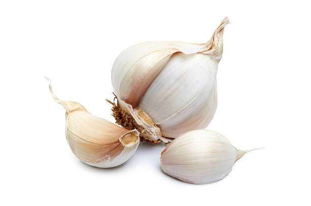 Garlic