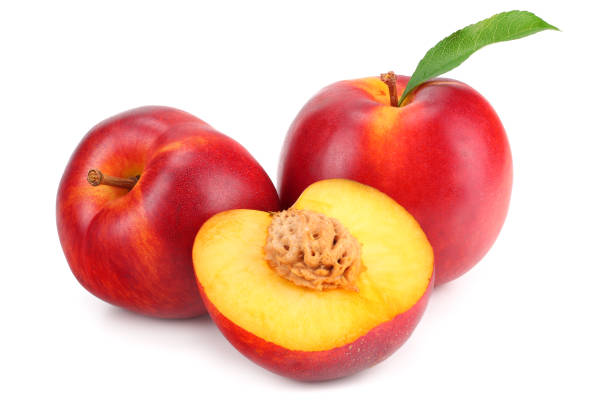 Nectarine