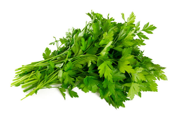 Parsley